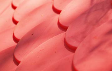 Eastcombe plastic roof costs